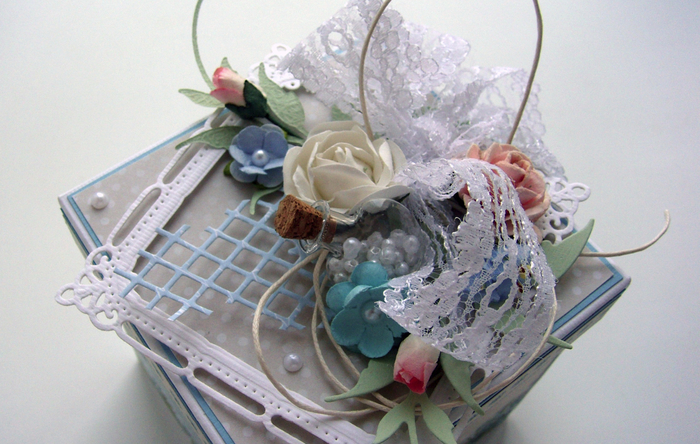 DSC02530 (700x444, 395Kb)