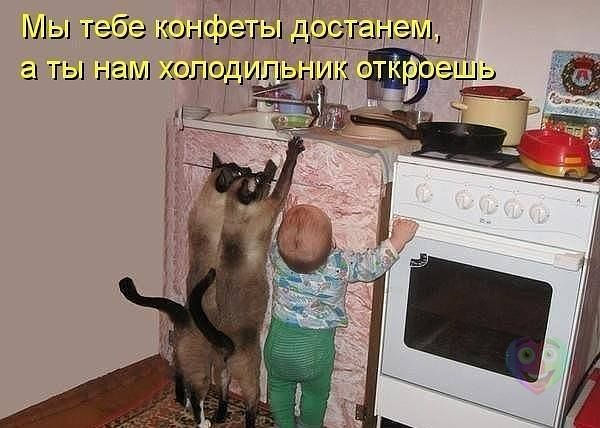 3245507_getImage_6 (600x428, 50Kb)