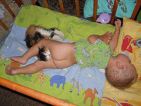 3245507_horoshii_pampers (492x369, 76Kb)