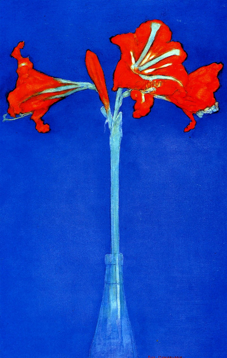 amaryllis-1910 (444x700, 385Kb)