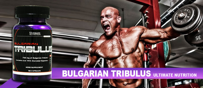 Bulgarian TribulusUltimate Nutrition megaman com ua (700x305, 109Kb)