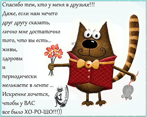 GIF ,Анимация, Подарки zelgrumer.ru | Открытки, Милые открытки, Веселые картинки