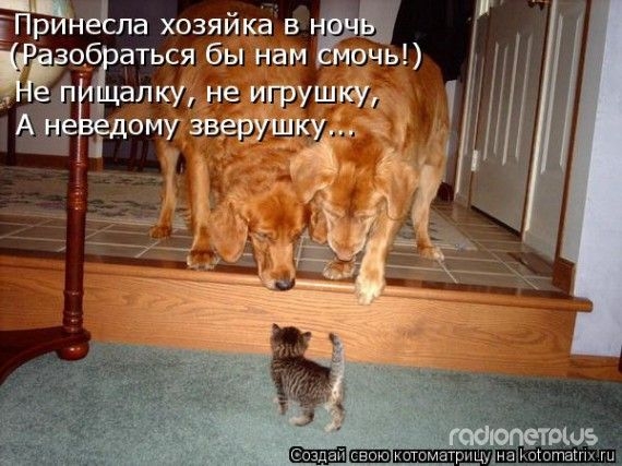 1358327295_www.radionetplus.ru_15 (570x427, 158Kb)