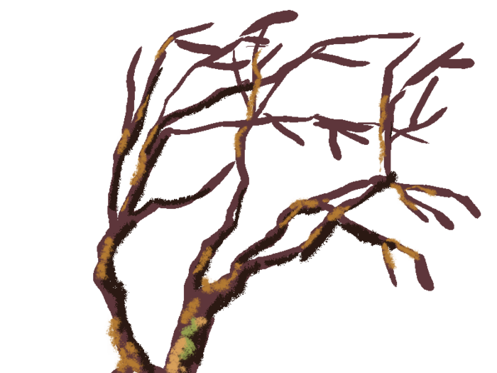 4150718_derevo_boloto (700x525, 121Kb)