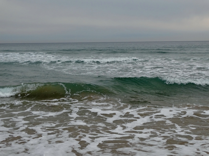 5559494_DSC01896 (700x525, 246Kb)