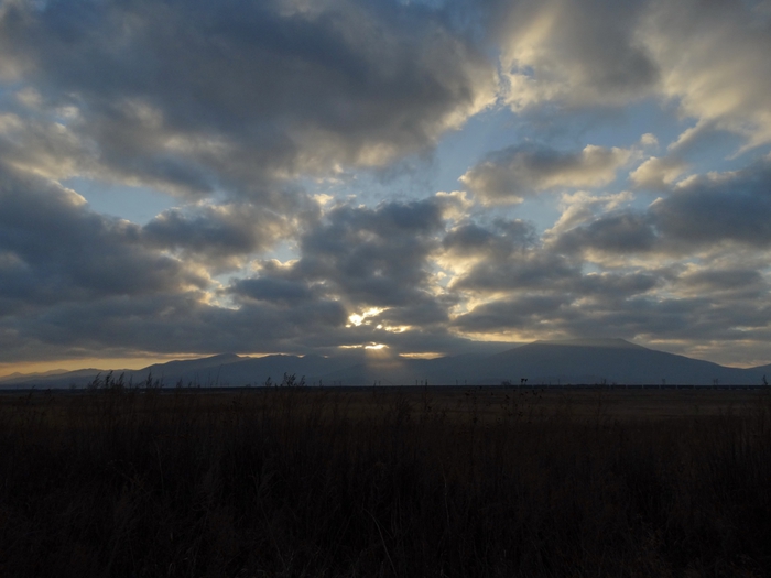 5559494_DSC02002 (700x525, 185Kb)