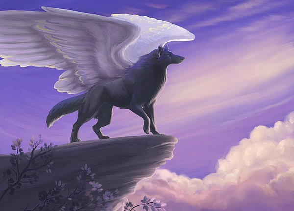 волк-ангел (600x432, 153Kb)