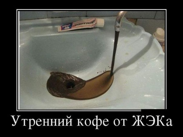 (604x453, 110Kb)