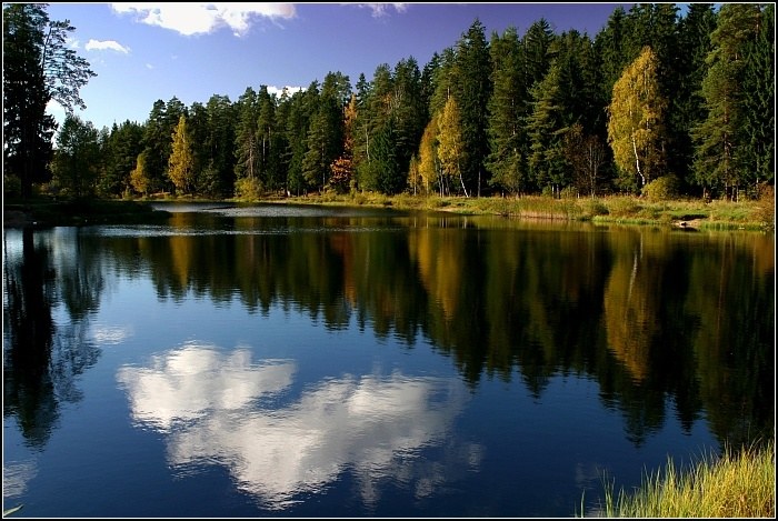 forest_Lake_16 (700x469, 103Kb)