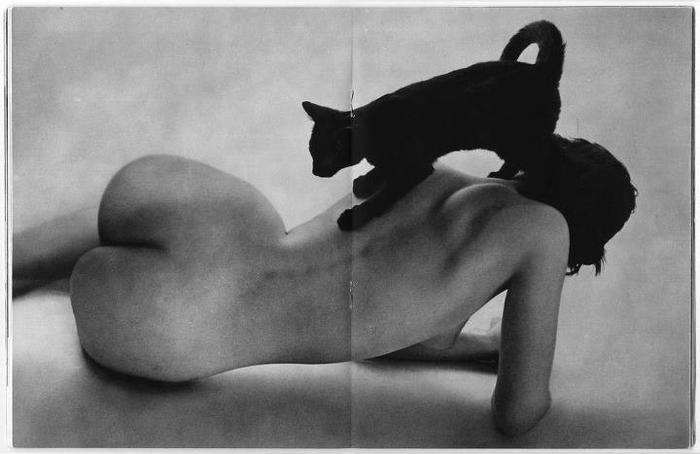 woman-with-cat-by-peter-martin (700x454, 31Kb)