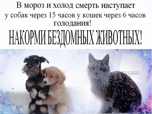 image(2) (604x453, 60Kb)