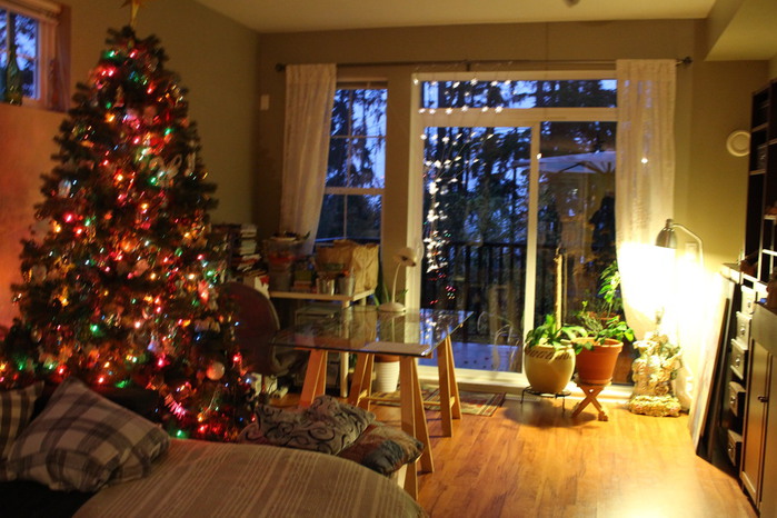 IMG_3902 (700x466, 117Kb)