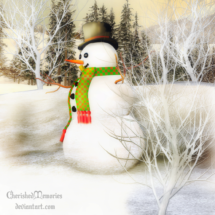 4964063_snowman_joy_by_cherishedmemoriesd34884d (700x700, 846Kb)