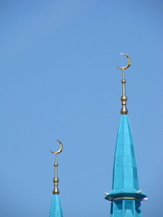 Minarets_of_Kul_Sharif_Mosque_-_Kazan_-_Russia (525x700, 18Kb)