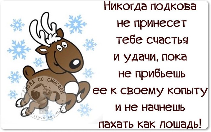 Никогда подкова не принесет тебе счастья и удачу пока картинки, тебя