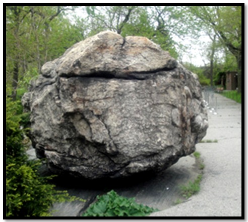 Bronx-Zoo-Rocking-Stone-3 (1) (492x442, 81Kb)