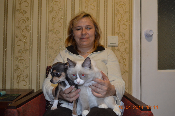 1417467513_DSC_0737 (699x465, 242Kb)