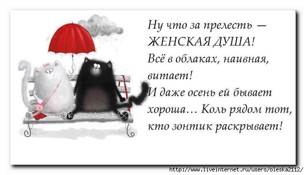 http://img1.liveinternet.ru/images/attach/c/0/118/54/118054315_tochno6.jpg