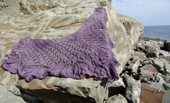 CIMG2834 (700x425, 436Kb)