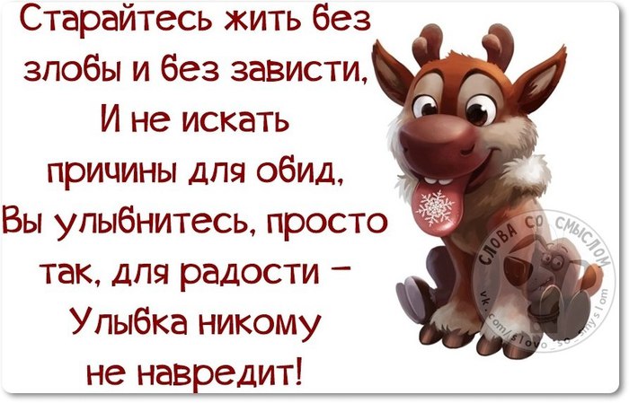 y_QvBU5GOxo (700x449, 73Kb)