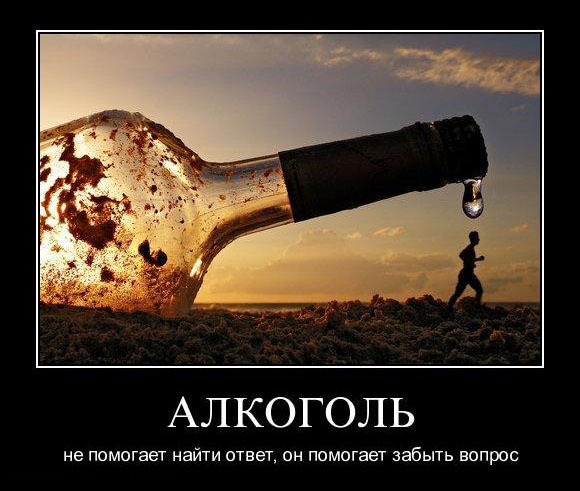 3368205_demotivators_alcohol_008 (580x491, 76Kb)