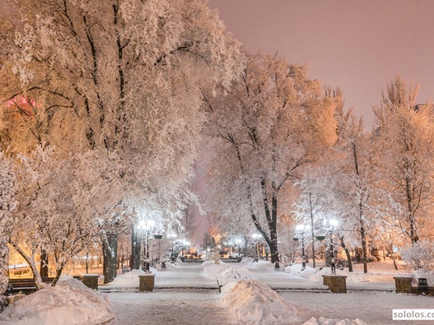 5361707_zim_b_pyshkina1 (625x469, 159Kb)