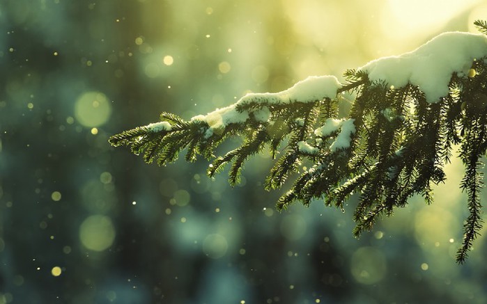 2757491_les (700x437, 69Kb)