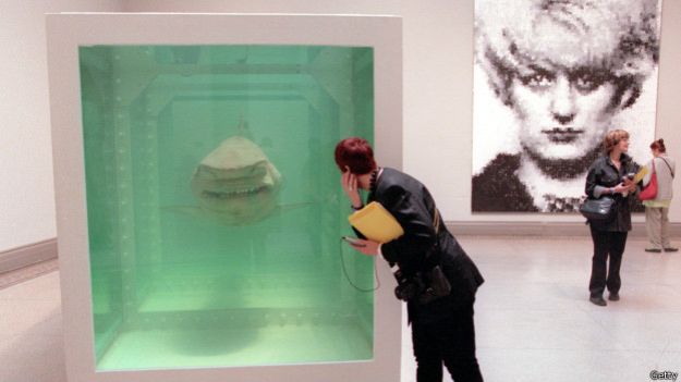 141207171415_hirst_shark_624x351_getty (625x351, 27Kb)