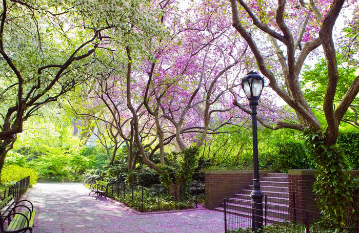 85497880_Proshots__Conservatory_Garden_in_Spring_Central_Park_New_York__Professional_Photos[1] (700x455, 778Kb)