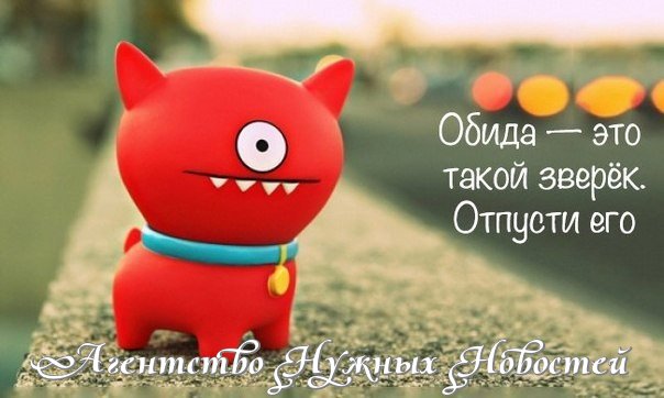 5302747_VfUbcIyHYFjD (604x362, 41Kb)