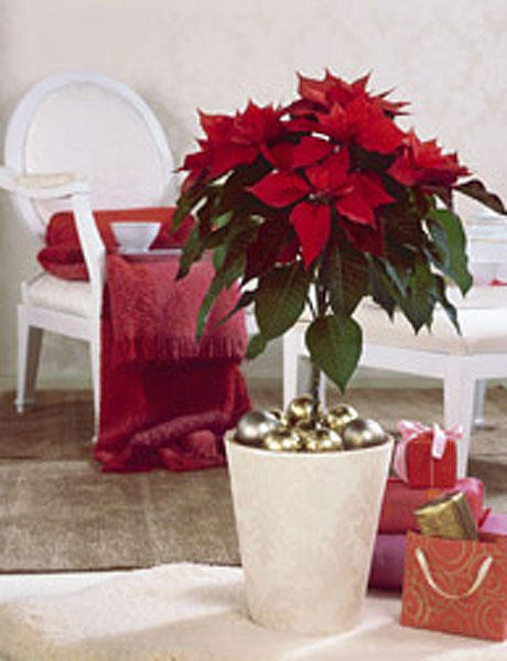 home-flowers-in-new-year-decorating1-12 (460x600, 156Kb)