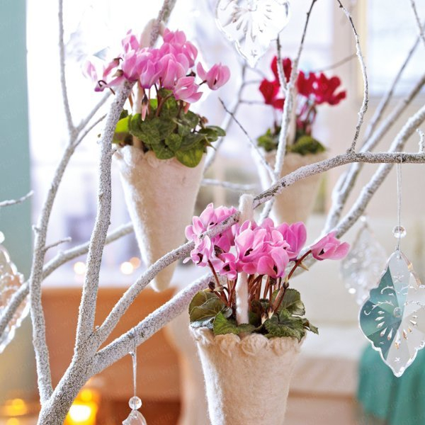 home-flowers-in-new-year-decorating2-2 (600x600, 297Kb)