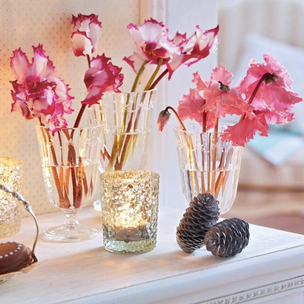 home-flowers-in-new-year-decorating2-6 (600x600, 309Kb)