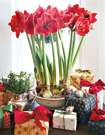 home-flowers-in-new-year-decorating3-1 (360x460, 228Kb)