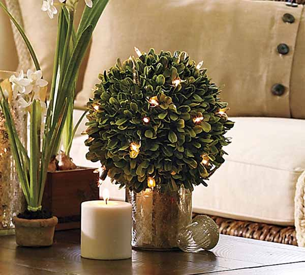 home-flowers-in-new-year-decorating3-11 (600x540, 279Kb)