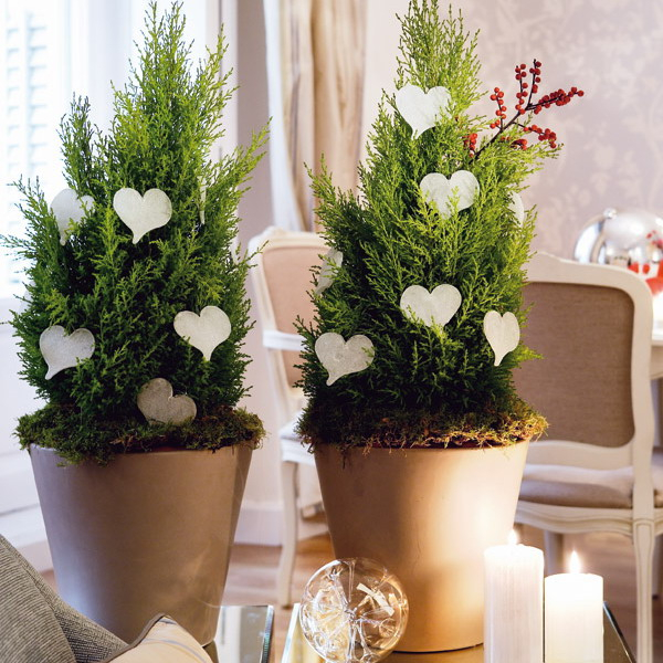 home-flowers-in-new-year-decorating4-8 (600x600, 379Kb)