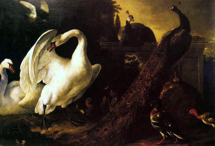 Melchior_Hondecoeter_-_Cisnes_e_Pav?es (1) (700x475, 48Kb)