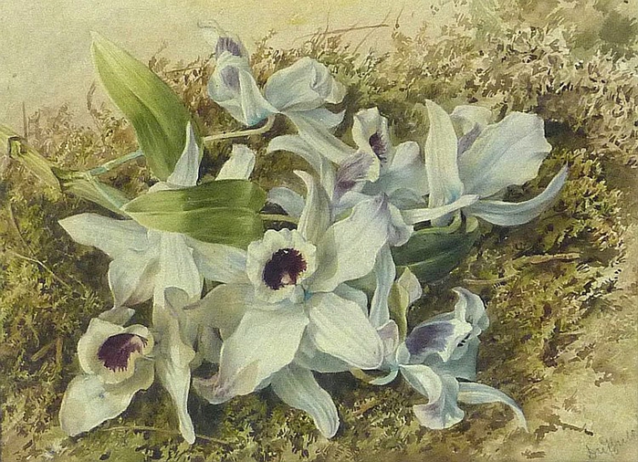 12 (700x506, 338Kb)