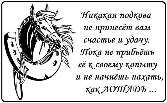 Песни приносящие счастье. Высказывание про подкову. Цитаты про подкову. Удача приколы. Стих про подкову на счастье.