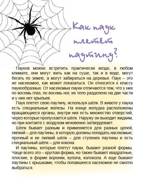 Spider как читается. Сказка про паучка. Как паук плетет паутину между деревьями. Сказка про паучка в стихах. Сказки про пауков.