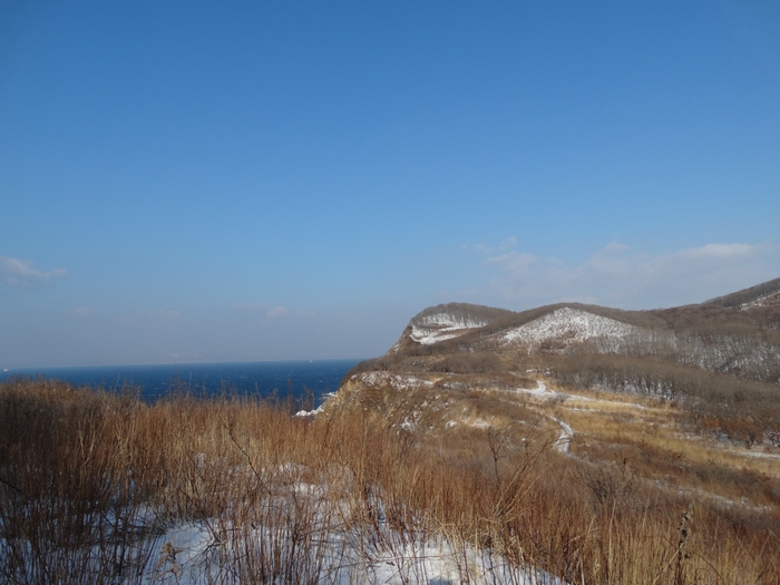 5559494_DSC05885 (700x525, 218Kb)