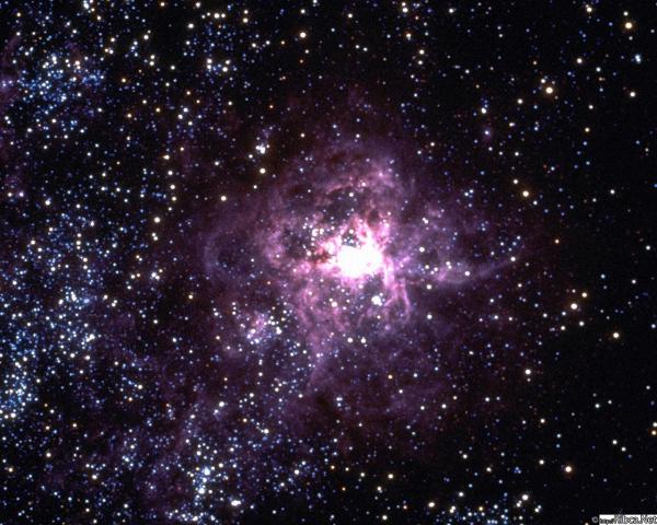  (600x480, 59Kb)
