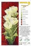  184391-0579c-42916330-m750x740-uc7db5 (471x700, 368Kb)