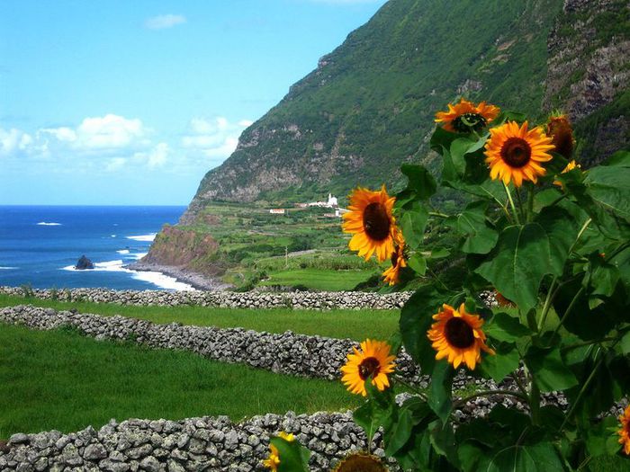 Azores_16 (700x525, 86Kb)