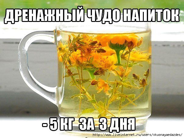 yQKGaXp44WE (604x453, 156Kb)