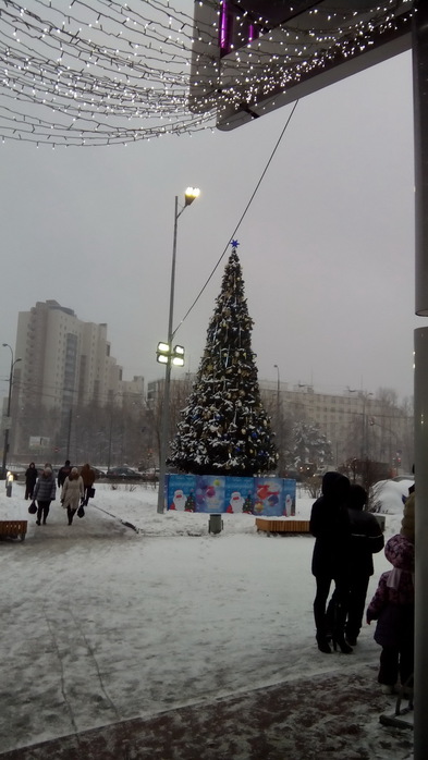 1419177062_IMG_20141213_142933 (393x700, 84Kb)