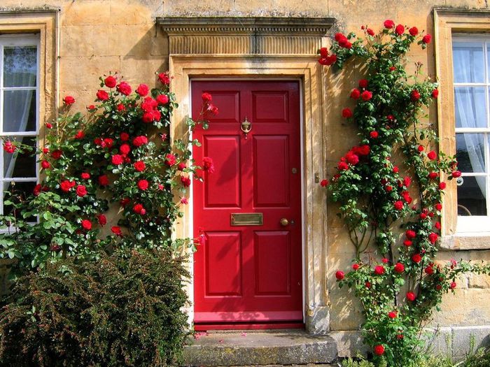 doors_flowers_8 (700x525, 115Kb)