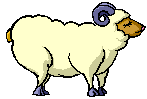 sheep-1 (147x99, 4Kb)