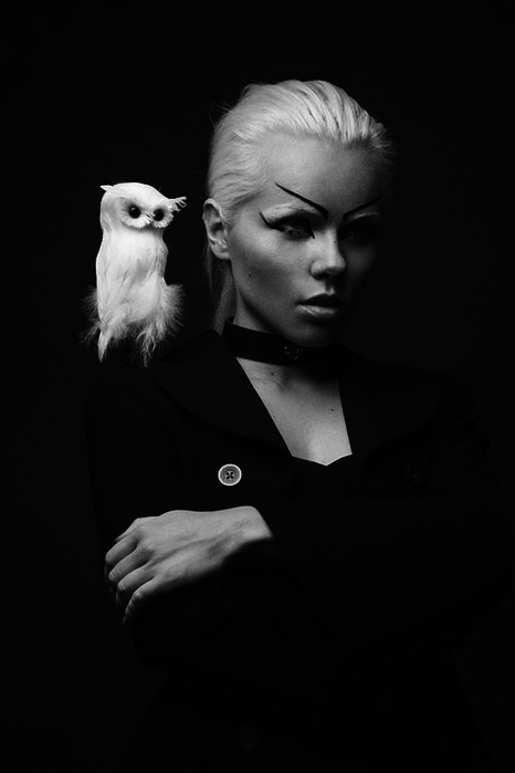 Kerli+Owl+and++PNG (466x700, 74Kb)