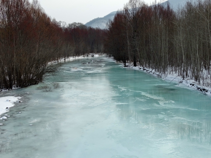 5559494_DSC06900 (700x525, 249Kb)